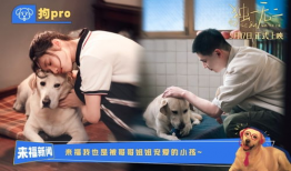 吃瓜爆料张婧仪是谁,吃瓜爆料中的张婧仪，她是何方神圣？