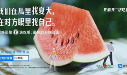 吃瓜网红拍照文案图片,镜头下的趣味瞬间捕捉