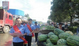 成县吃瓜网红事件视频,一场网络舆论的风暴与反思