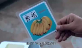 吃瓜网回家的路,探寻回家的路——一场温馨的归途之旅