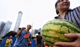 朝阳群众吃瓜网91,吃瓜网91独家揭秘，带你领略网络热点背后的真相