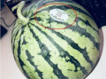 甘肃吃瓜网红,揭秘西北美食圈的热辣故事