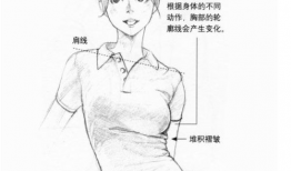 动漫美女胸大动态,动感胸围演绎青春活力