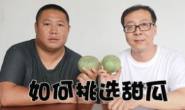 黑哥吃瓜官网,揭秘娱乐圈幕后故事，带你领略明星真实生活